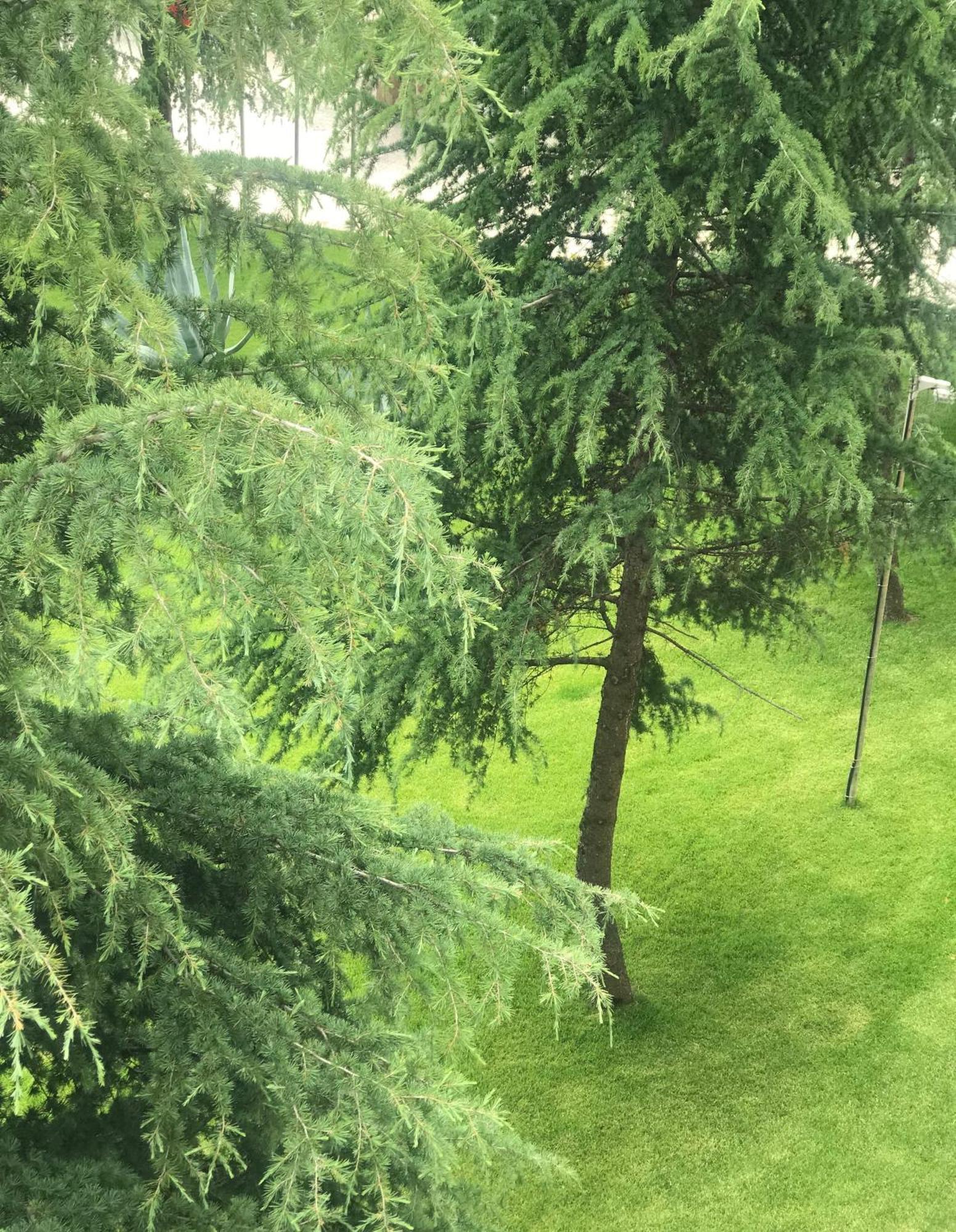 Chateau Linza Resort Tirana Zewnętrze zdjęcie