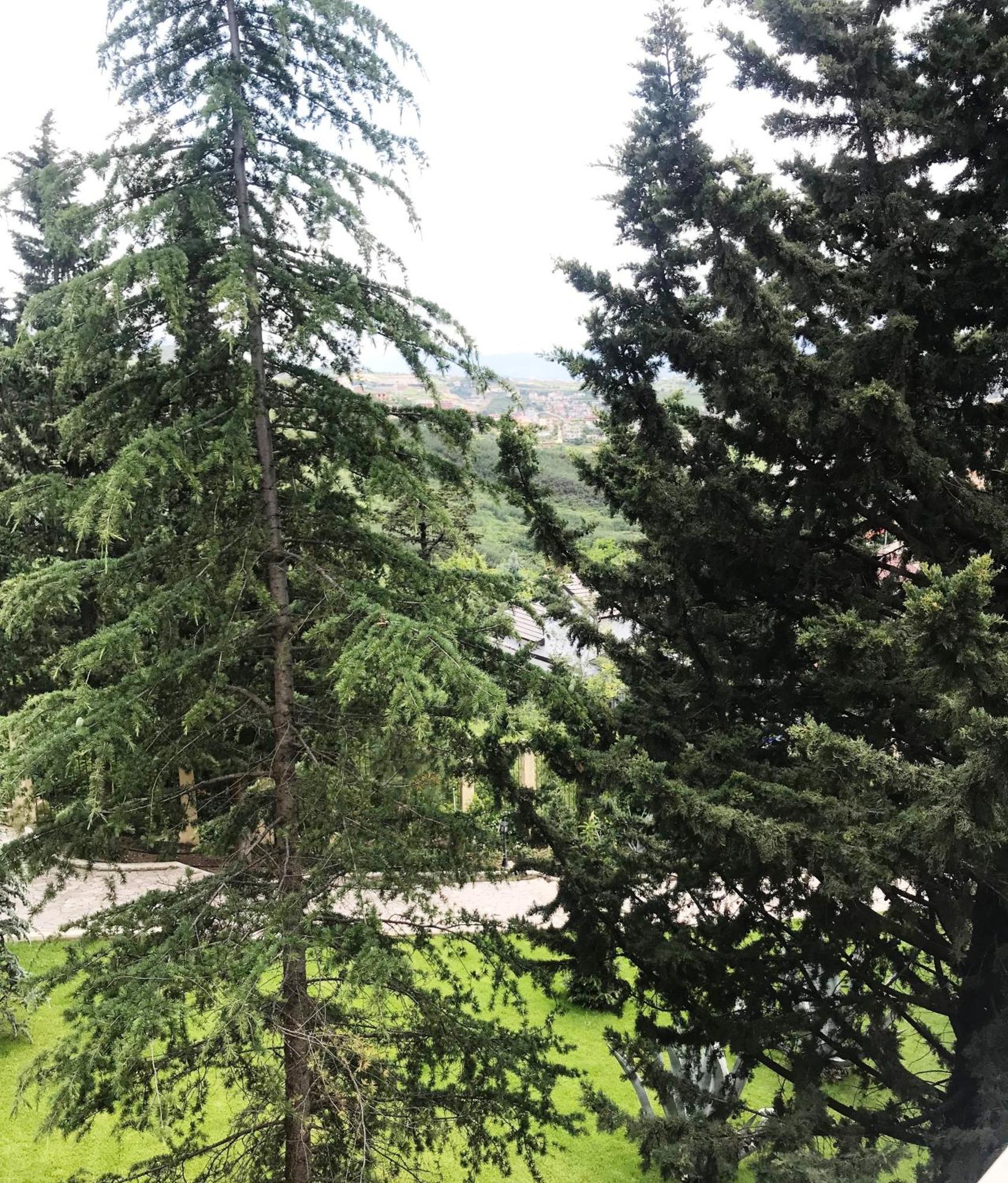 Chateau Linza Resort Tirana Zewnętrze zdjęcie